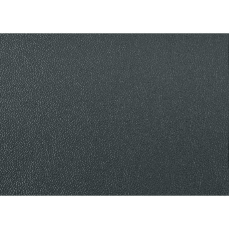 Mischa Genuine Leather Sofa - MA-9514DGY-3
